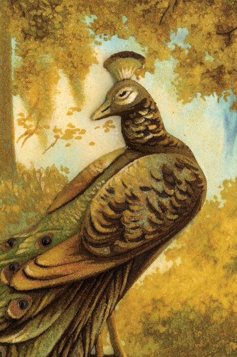 Painting of amber "Peacock"