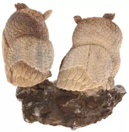 The product from the vertebra of the whale "Owl family"
