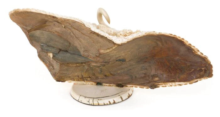 Mammoth tusk product "Rival Mammoths"