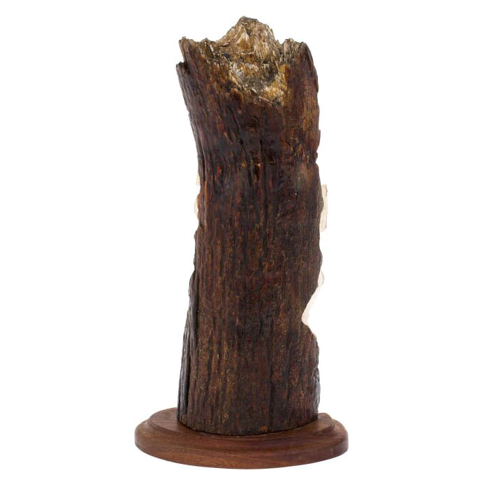 Mammoth tusk sculpture "Prometheus"