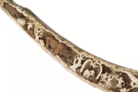 Сувенир из бивня мамонта "Борьба предков за выживание"