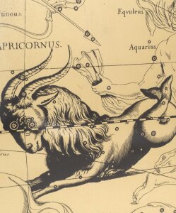 Panel on gold leaf "Capricorn"
