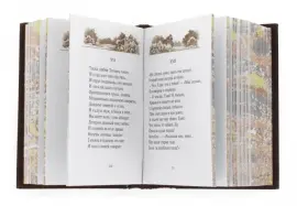 Миниатюрная книга "Евгений Онегин" Миниатюрная книга "Евгений Онегин"