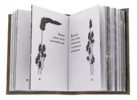 Miniature book "Hippocrates. The thoughts of a great doctor"