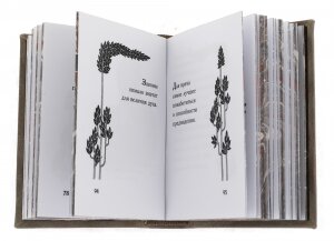 Миниатюрная книга "Гиппократ. Мысли великого врача"