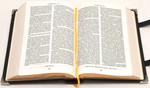 The Bible "Orthodoxy"