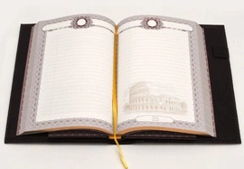 Daily planner with removable cover "Empire"