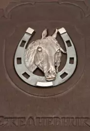 Diary with removable cover "Horseshoe"