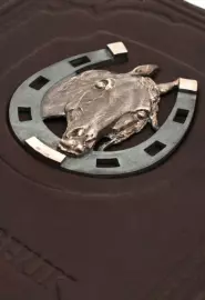 Diary with removable cover "Horseshoe"