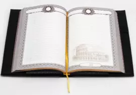 Diary with removable cover "Horseshoe"