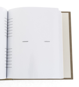 Photo album "White Rose" (finish)