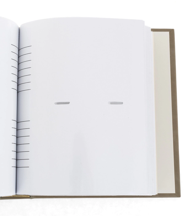 Photo album "White Rose" (finish)