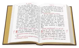 The Gospel in a leather casket, Chrysostom