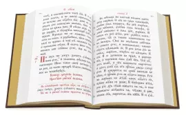 The Gospel in a leather casket, Chrysostom