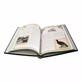 The Big Book of Russian Hunting