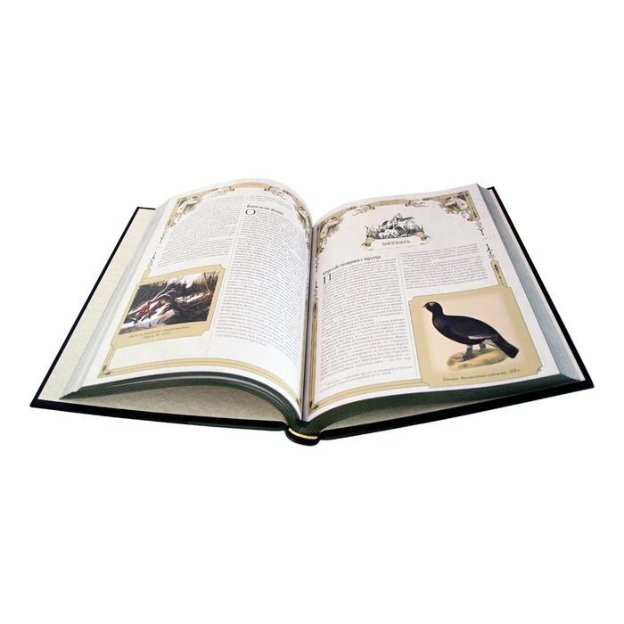 The Big Book of Russian Hunting
