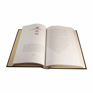 Книга в кожаном переплете "Домострой"