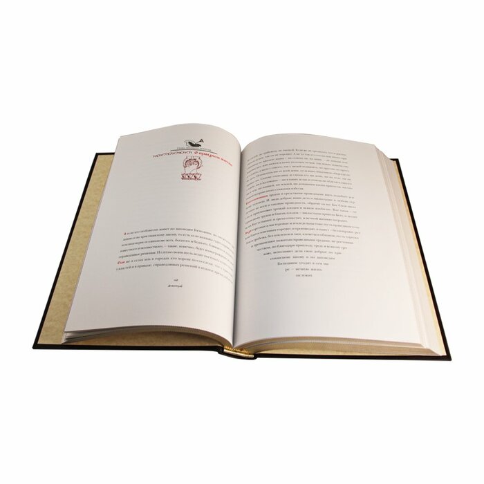 Книга в кожаном переплете "Домострой"