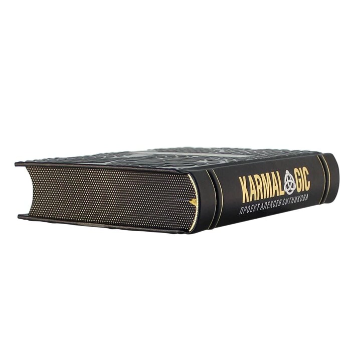 The leather-bound book "Karmalogic" by A.Sitnikov