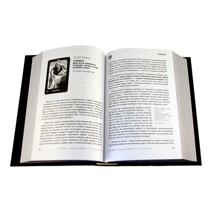 The leather-bound book "Karmalogic" by A.Sitnikov