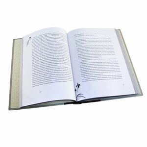 Беседы с одиноким мудрецом. Конфуций