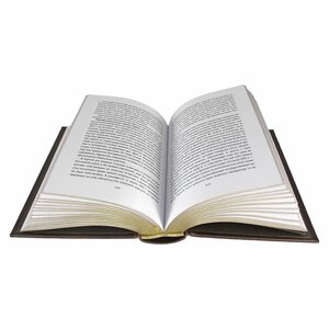 Книга в кожаном переплете "Россия в исторических портретах" В. О. Ключевский