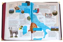 Набор бокалов для вина "Виноград" на 2 персоны, с подарочной книгой "Просто о лучших винах"