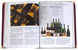 Набор бокалов для вина "Виноград" на 2 персоны, с подарочной книгой "Просто о лучших винах"