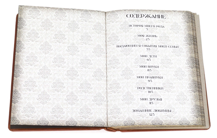 Книга в кожаном переплете "Семейная летопись" Robbat Cognac
