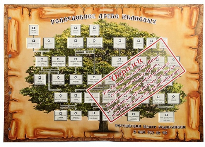Родословная книга "Гербовая"