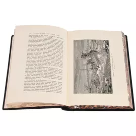 Подарочная книга в кожаном переплете "Старый Петербург" с накладками