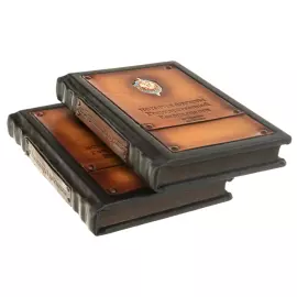 Книга в кожаном переплете "История службы государственной безопасности"