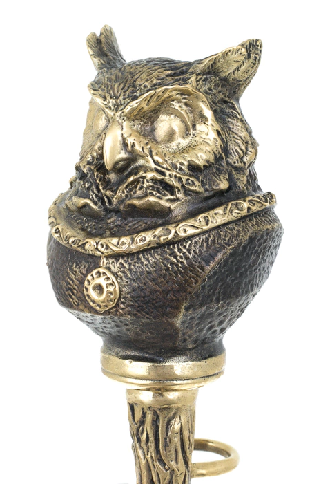 Spoon for shoes "Scientist owl"