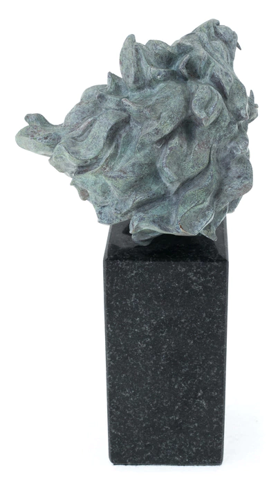 The author's bronze sculpture "Lion's Grin"