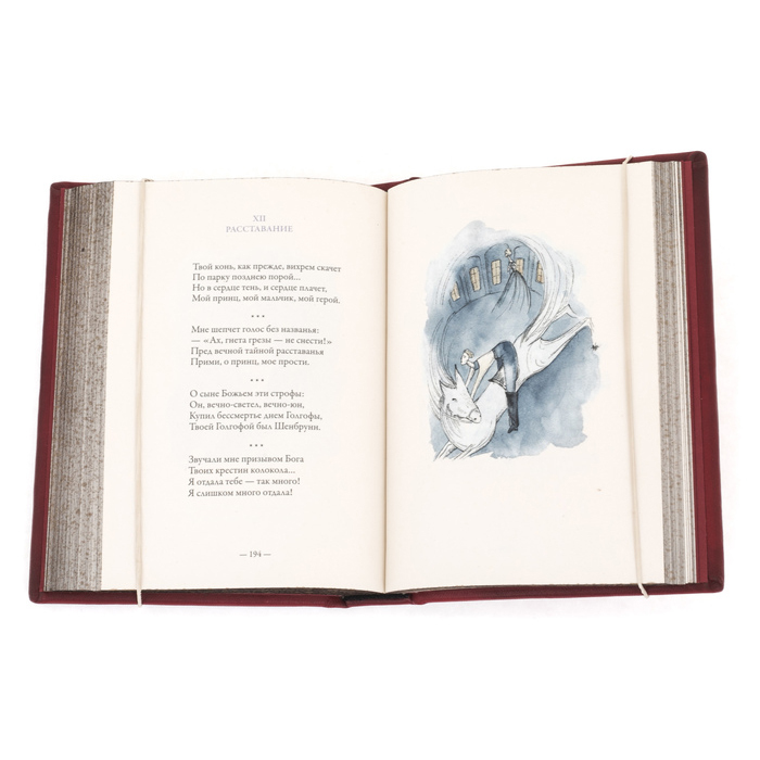 Книга в кожаном переплете "Марина Цветаева. Вечерний альбом"