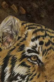 Картина из янтаря "Голова тигра"