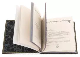 Книга в кожаном переплёте "Амброз Бирс. Лексикон циника"