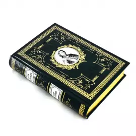 Книга в кожаном переплёте "История Петра Великого". Сочинение Н. П. Ламбина