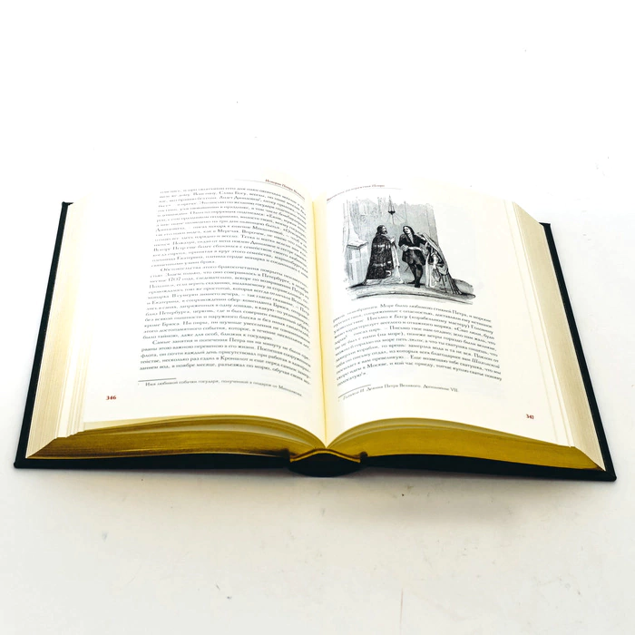 The leather-bound book "The Story of Peter the Great". The work of N. P. Lambin