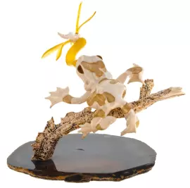 Сувенир из бивня мамонта и янтаря "Лягушка"