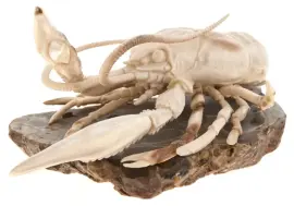 Сувенир из бивня мамонта "Рак"