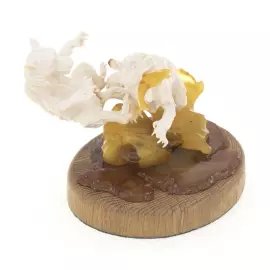 Mammoth tusk and amber statuette "Bears on a fishing trip"