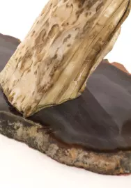 Sculptural composition "Orchid with a beetle"