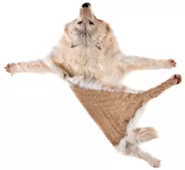 Ковёр из шкуры волка (белый)