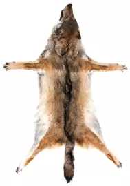 Ковер из шкуры волка (светло-серый)