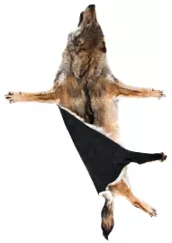 Ковер из шкуры волка (светло-серый)