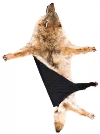 Ковер из шкуры волка (бежевый)