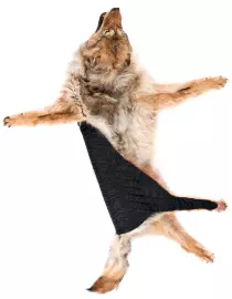 Ковёр из шкуры волка (рыжий)