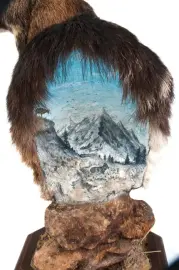 Чучело муфлона Чучело муфлона