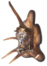 Панно "Дагестанский тур" (рог лося)